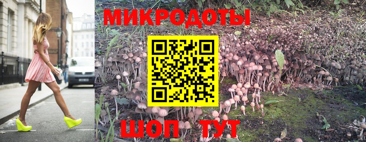 Псилоцибиновые грибы прущие грибы Ефремов