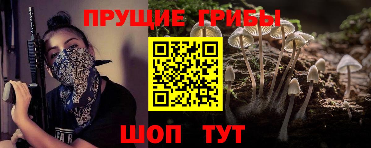 Ефремов  Галлюциногенные грибы Cubensis  Вход с VPN 